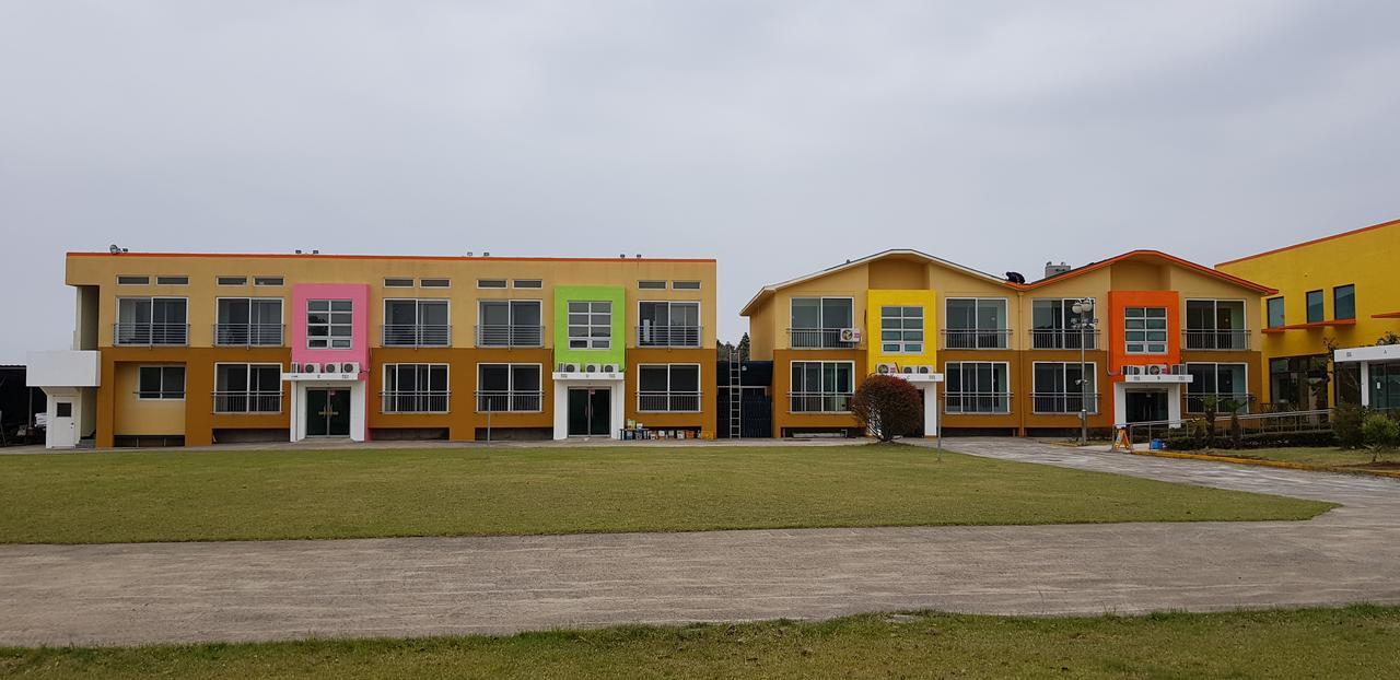 Geomunoreum Hostel Jeju Bagian luar foto